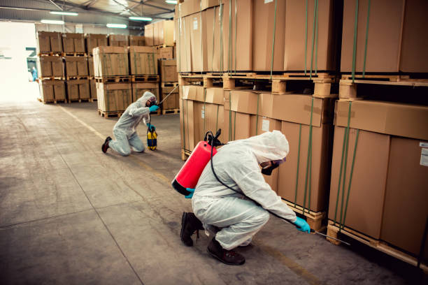 Best Affordable Pest Control Services  in Jonestown, PA