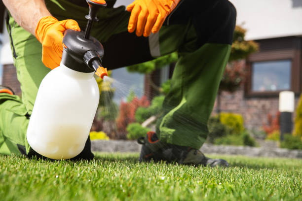 Best Pest Control Near Me in Jonestown, PA