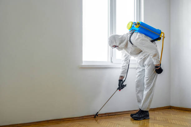 Best Termite Control Services  in Jonestown, PA