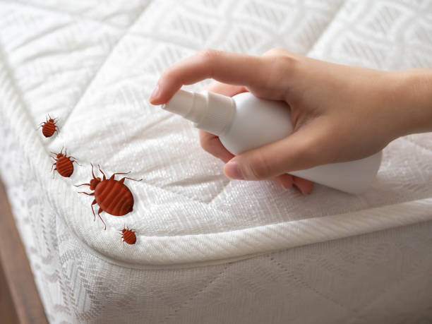 Best Bed Bug Extermination  in Jonestown, PA