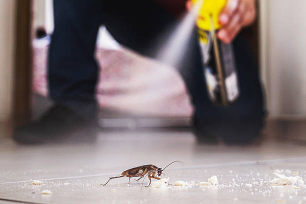 Best Pest Control for Businesses  in Jonestown, PA