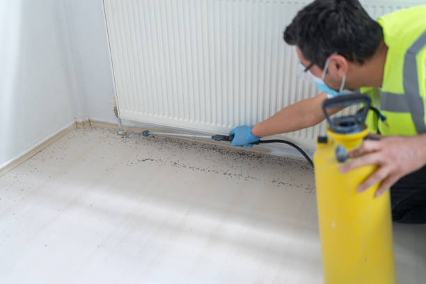 Best Best Pest Control Companies  in Jonestown, PA