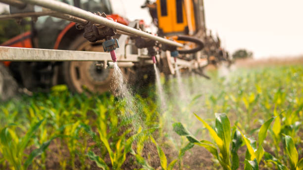 Best Best Pest Control Companies  in Jonestown, PA